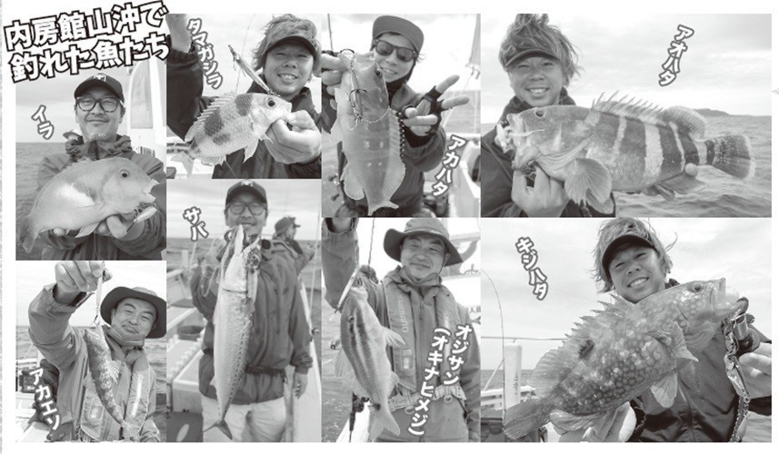 魚の写真