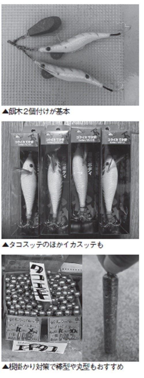 餌木の写真