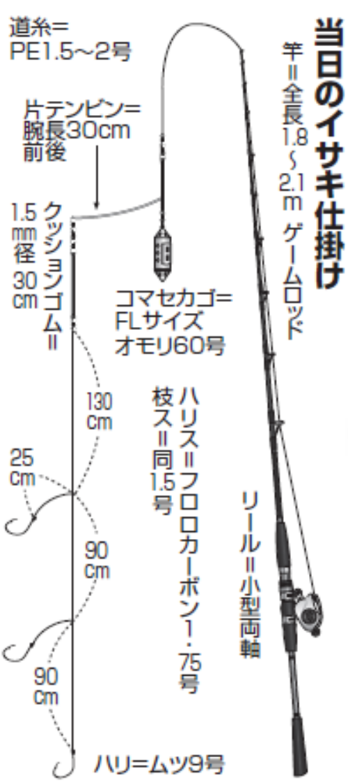 当日のイサキ仕掛け