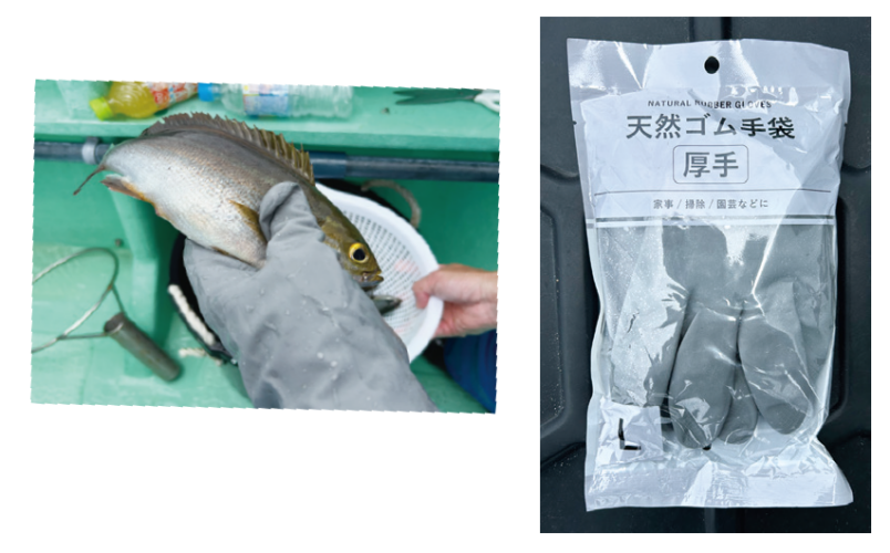 釣行の写真