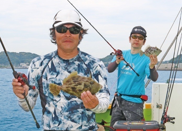 特大カワハギを釣るなら今！ 浅場で暴力的な引きを体感