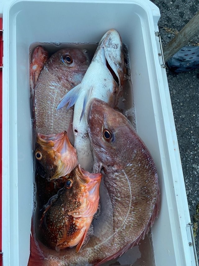 釣果