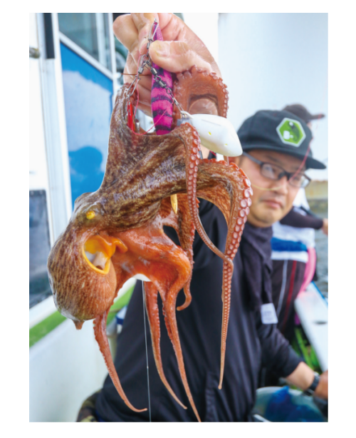 釣行の写真