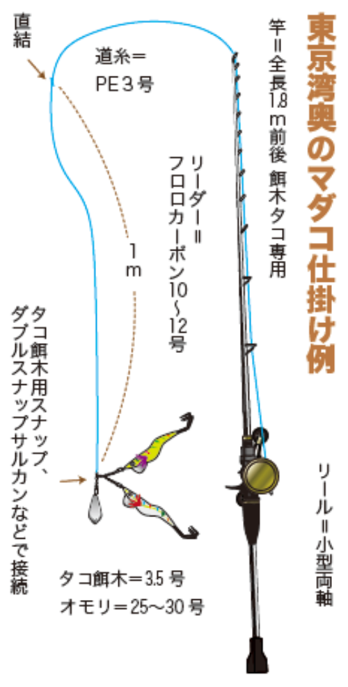 東京湾奥のマダコ仕掛け例