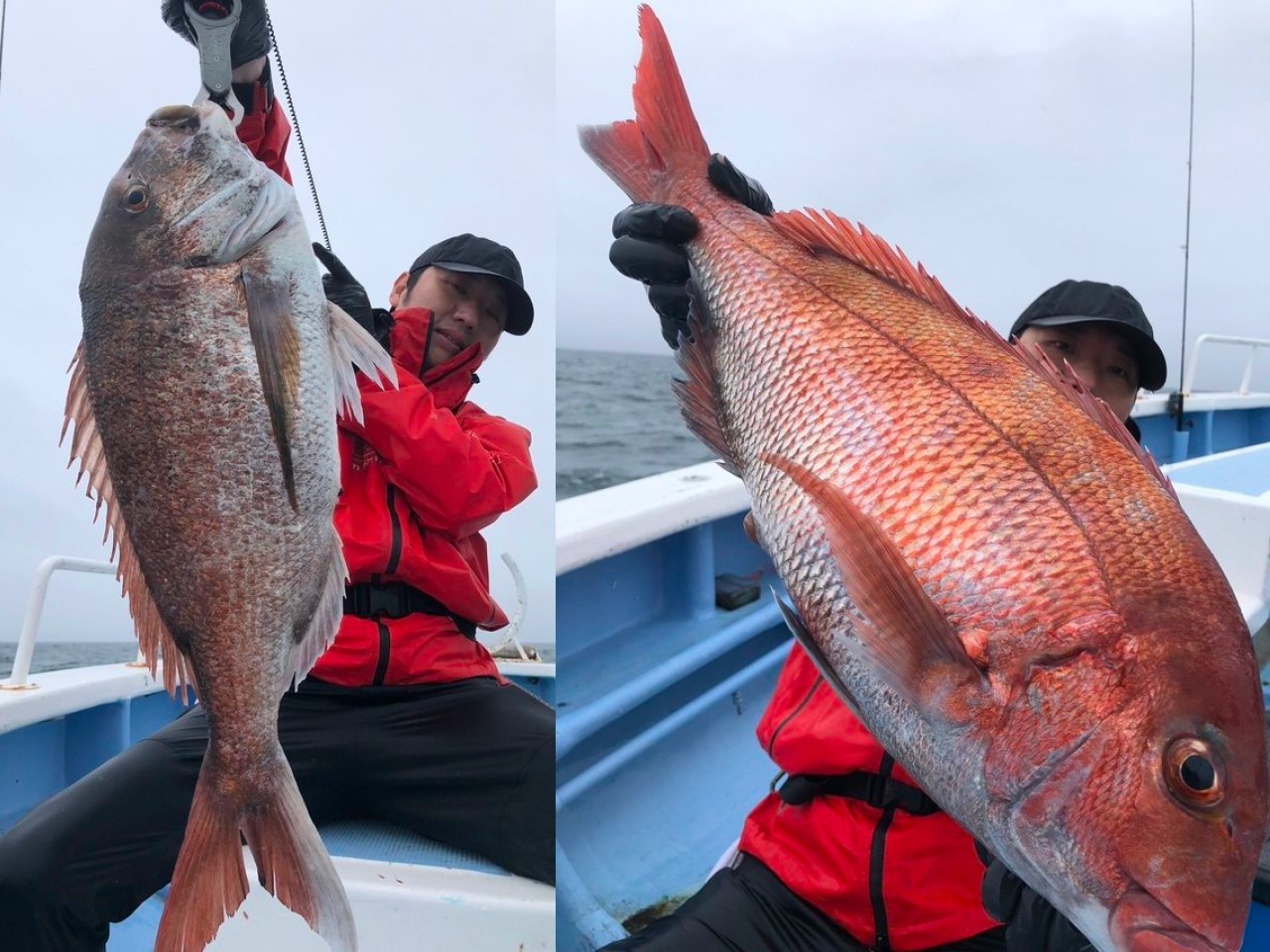 【釣果速報】茨城県幸栄丸で4.30kgのビッグマダイゲット！引きも味も今が最高潮！さあ、ビッグドリームを掴みに行こう！