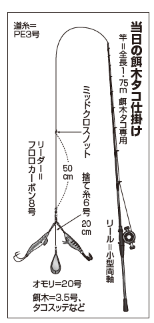 当日の餌木タコ仕掛け