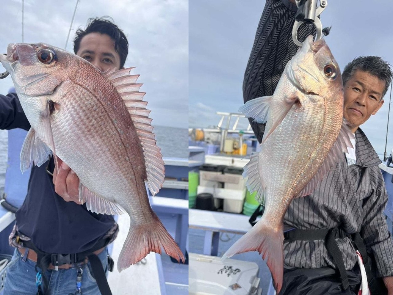 【釣果速報】千葉県新幸丸で0.70kgの良型マダイGET！一度の釣りでたくさんの魚たちとの出会いを楽しもう！