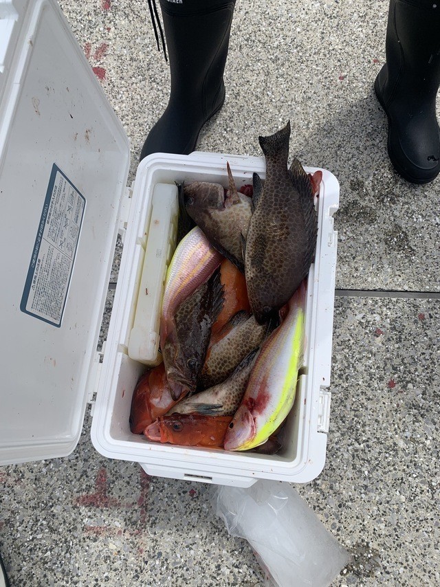 釣果