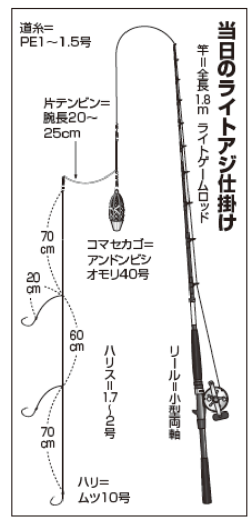当日のライトアジ仕掛け
