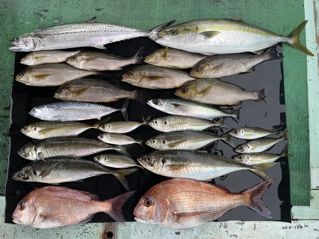 釣果