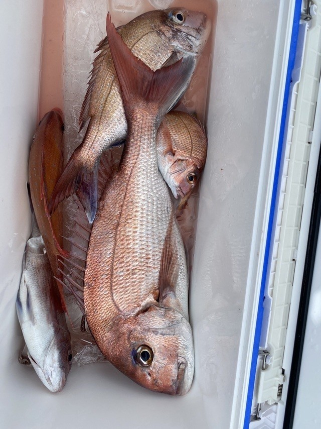 釣果