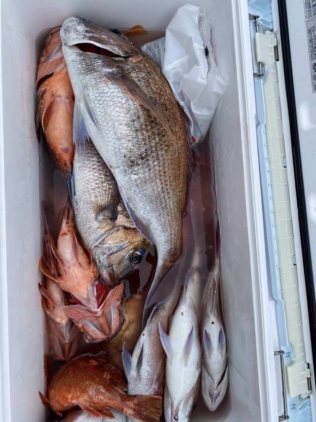 釣果
