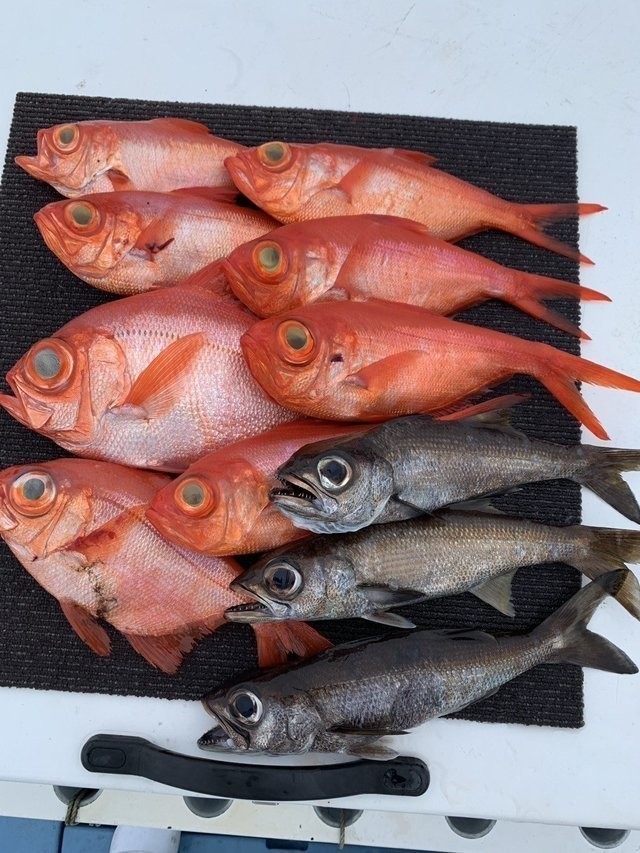 釣果