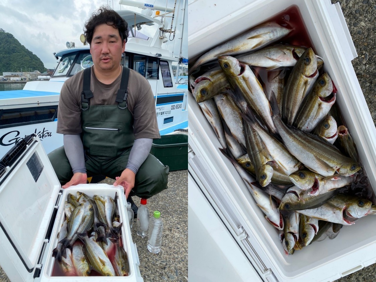 【釣果速報】千葉県宝生丸でイサキ好調！竿頭は81匹！今なら数釣りが楽しめます！        