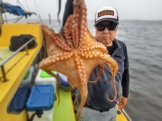 釣果