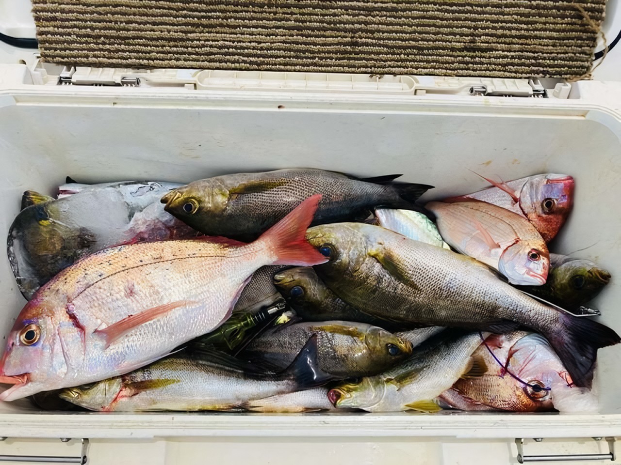 釣果