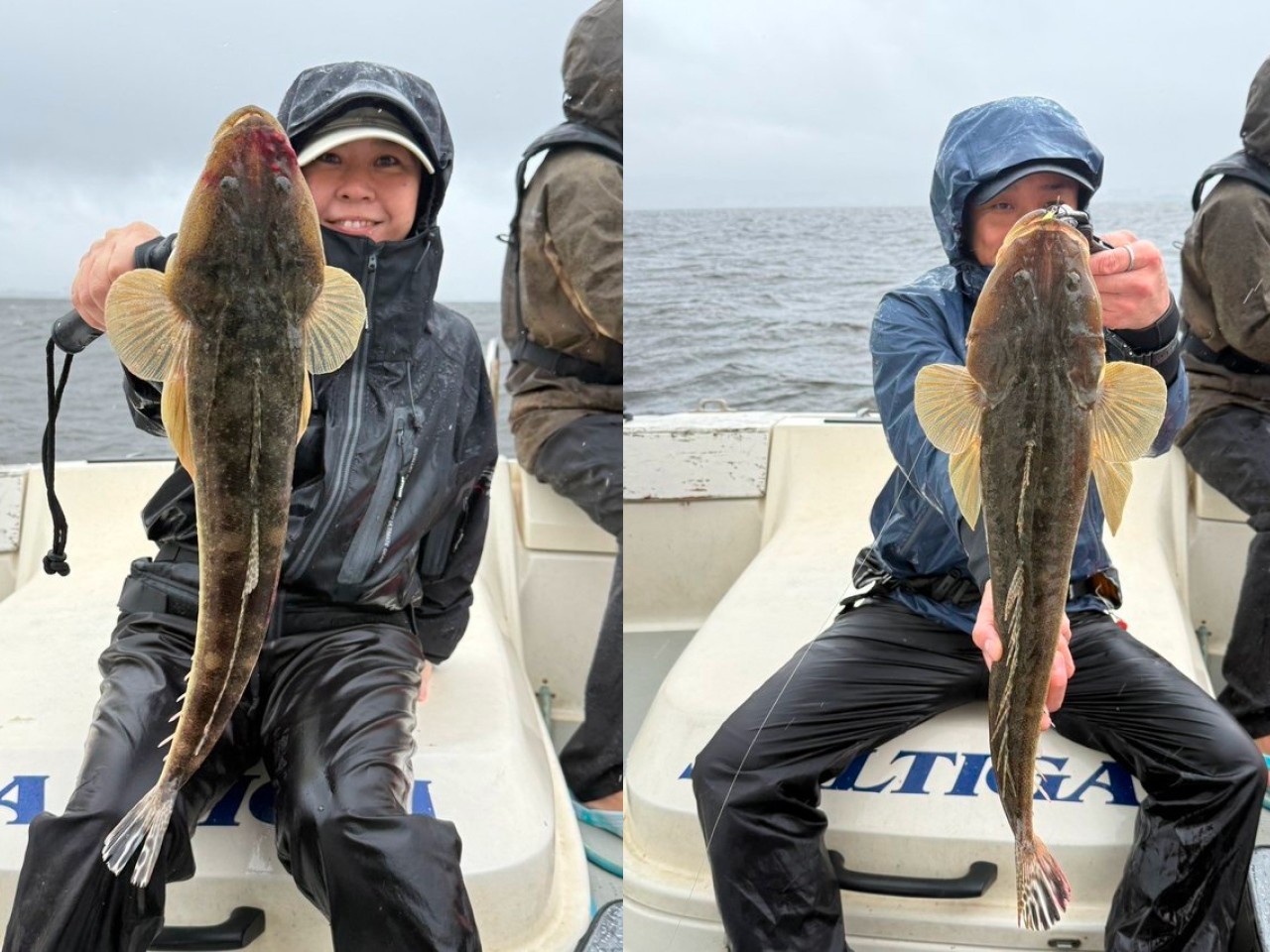 【釣果速報】千葉県林遊船で61cmの巨大マゴチ釣れる！まるまる太ったクロダイもキャッチ！順調にサイズアップしている人気魚をキャッチしに行こう！