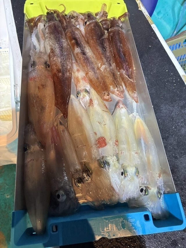 釣果