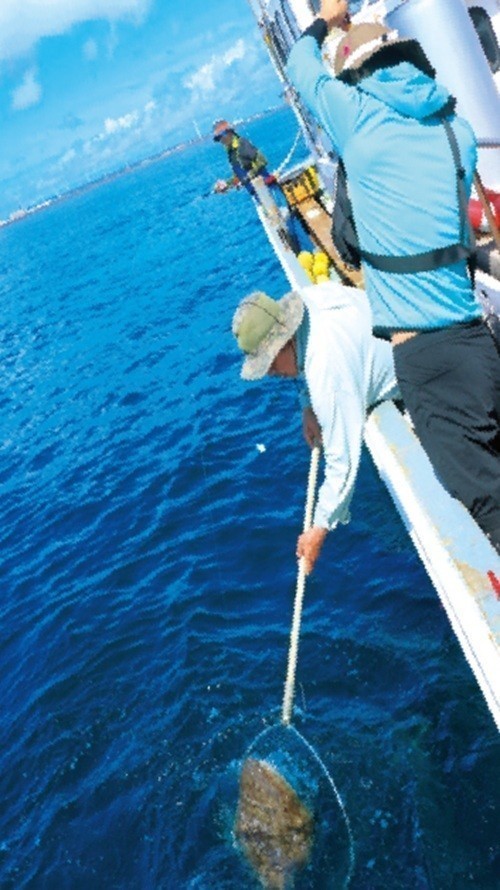 釣行の写真
