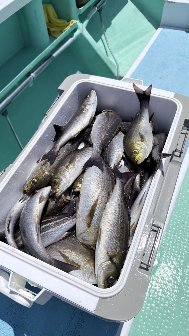 釣果
