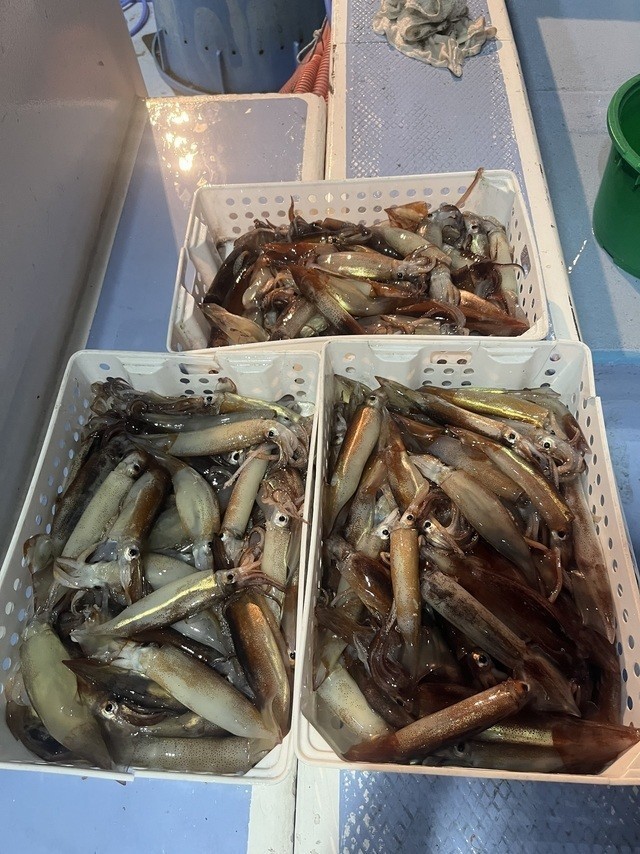 釣果
