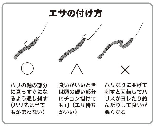 エサの付け方の図