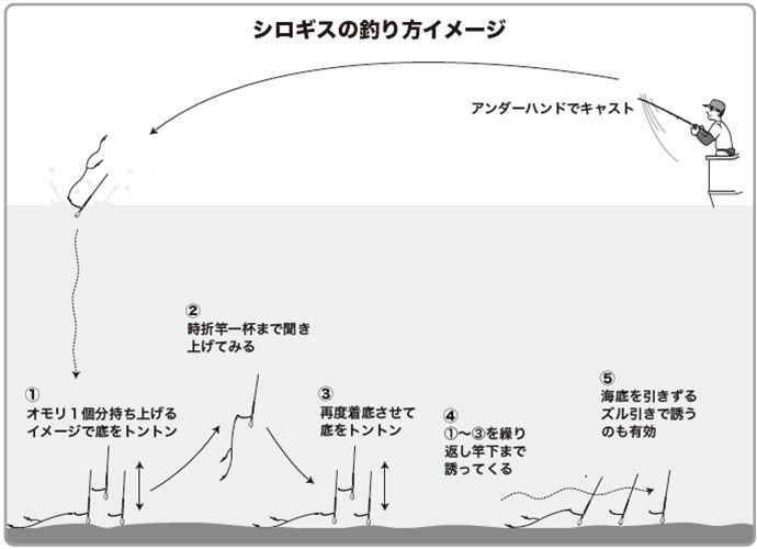 釣り方のイメージ図