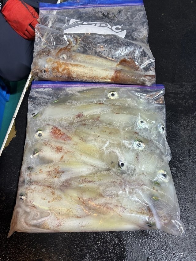 釣果