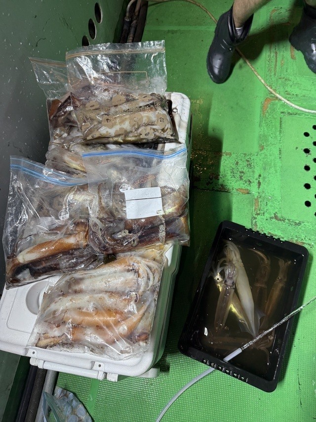 釣果