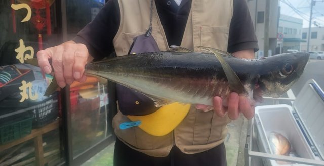 釣果