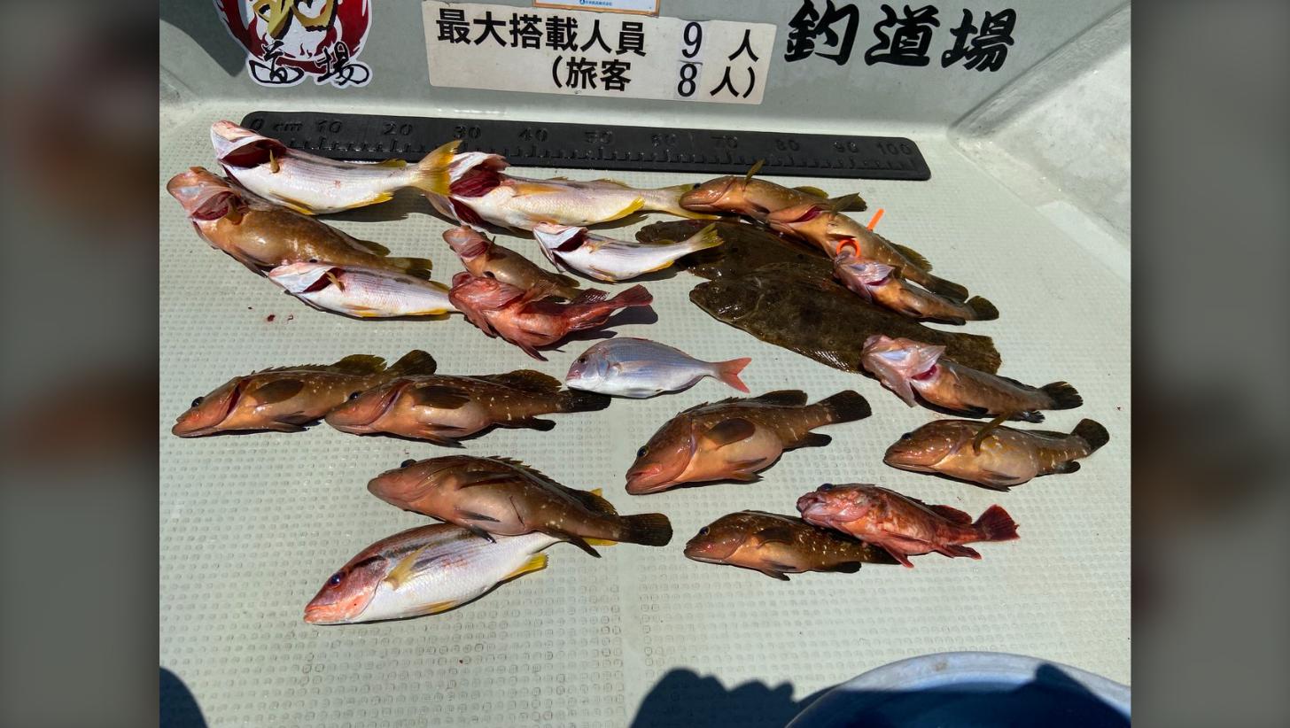 釣道場で8月5日に釣れたキジハタなどの釣果写真（兵庫・別府港）