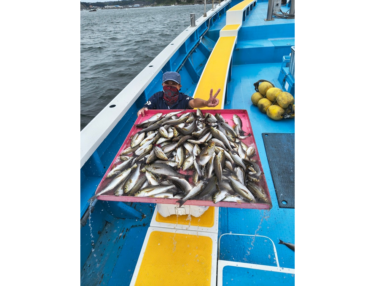 釣果