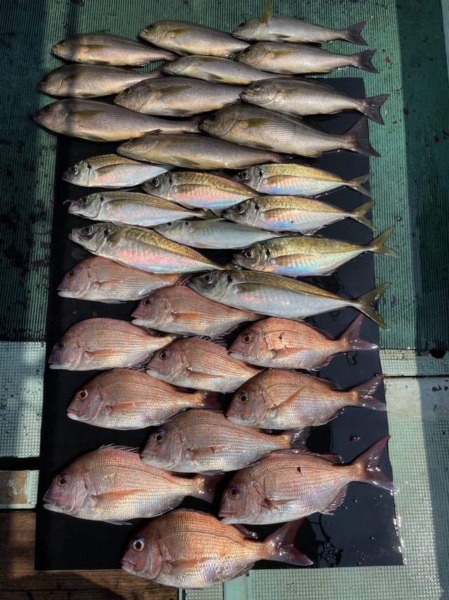 釣果