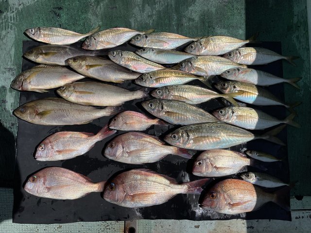 釣果
