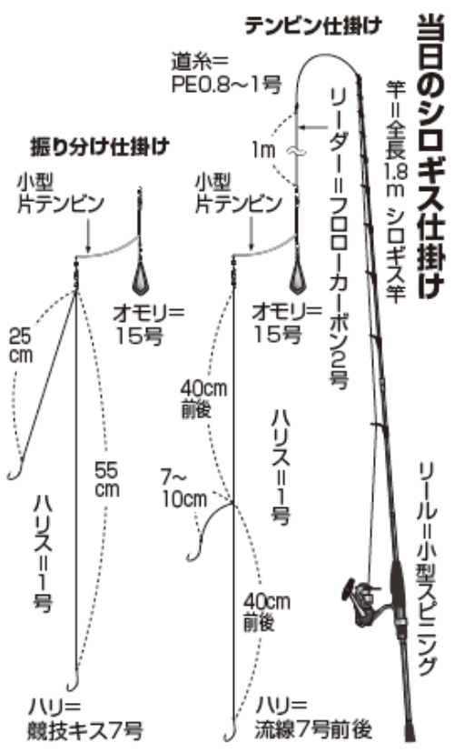当日のシロギス仕掛け