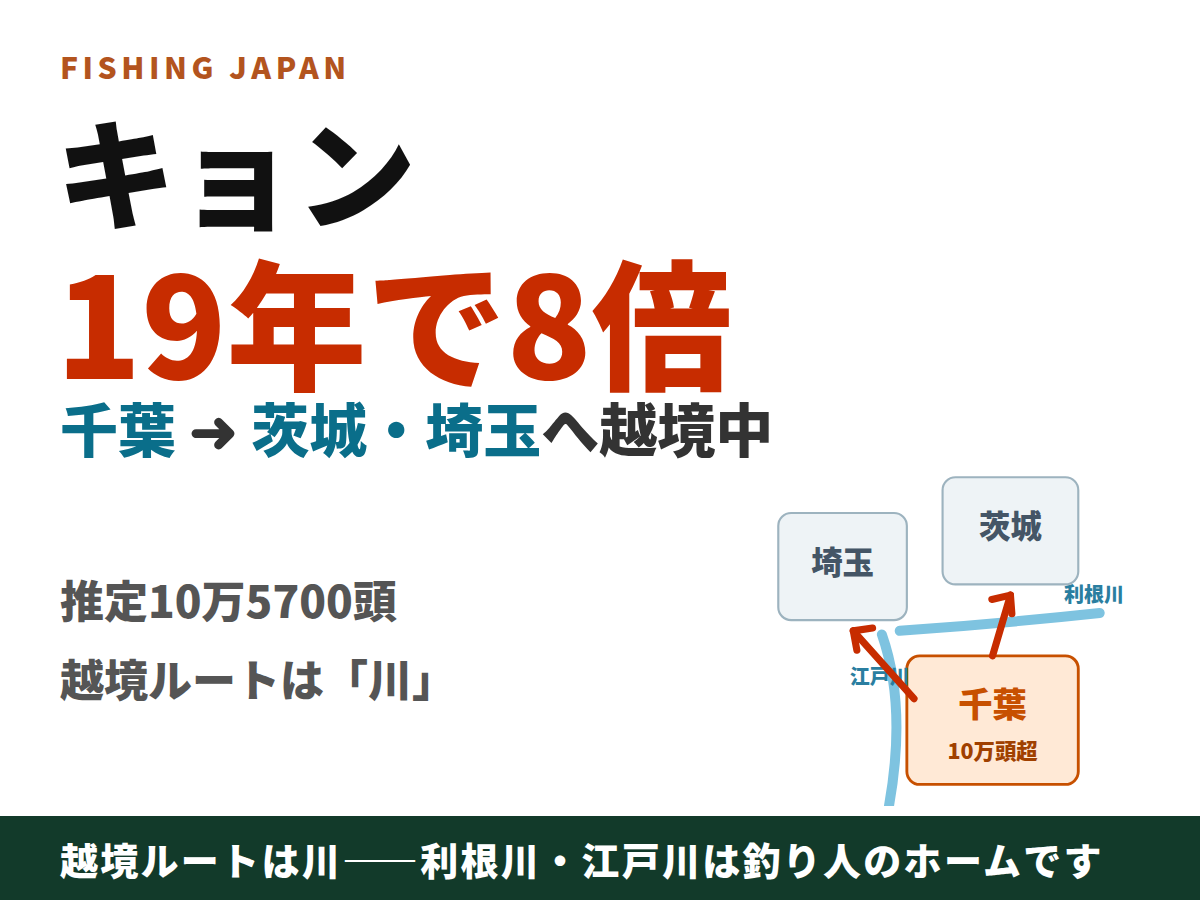 キョンの分布拡大 千葉から茨城・埼玉へ 19年で8倍の図解