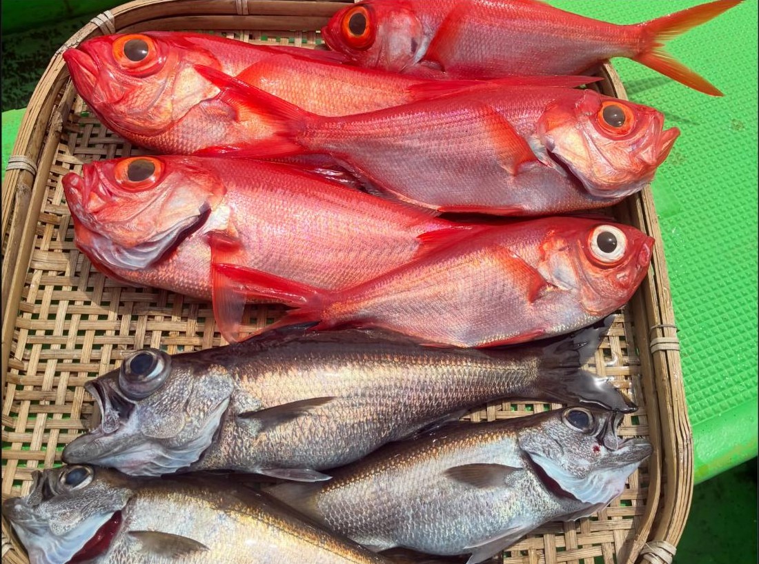 光義丸で釣れたキンメダイとクロムツ