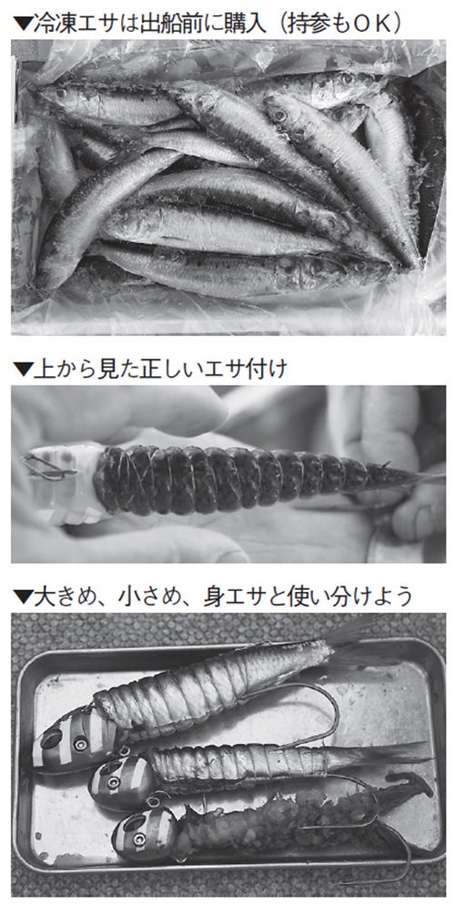 エサの写真