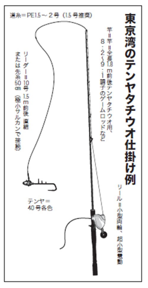 仕掛けの図