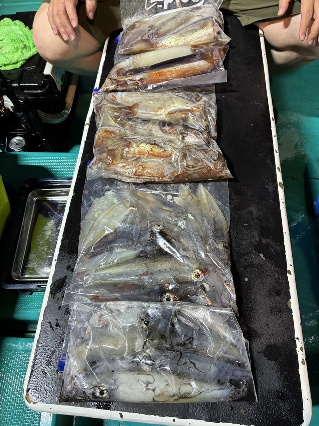 釣果