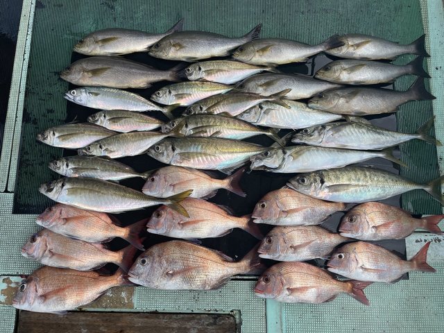 釣果