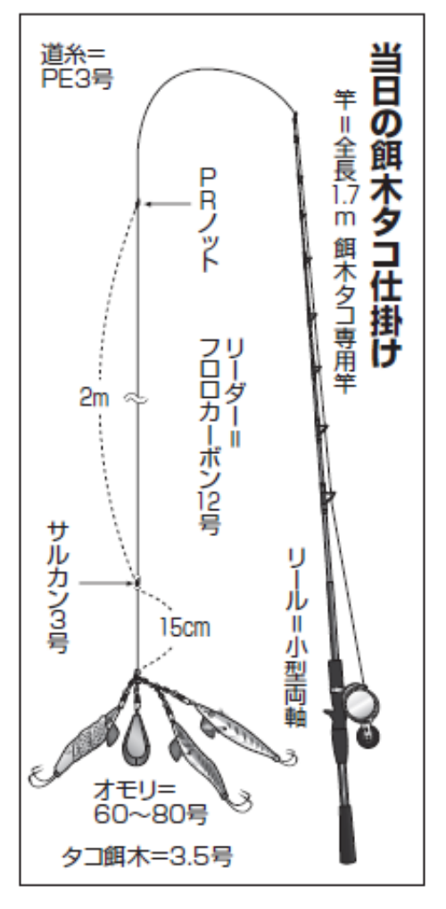 当日の餌木タコ仕掛け