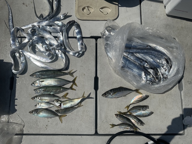 釣果
