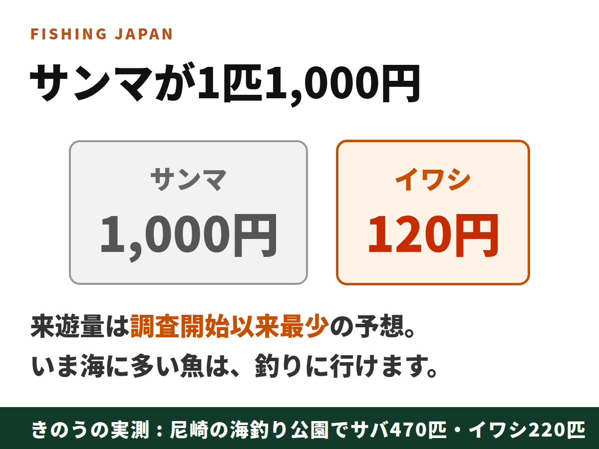 サンマ1匹1,000円とイワシ120円の比較図解