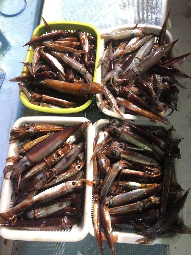 釣果