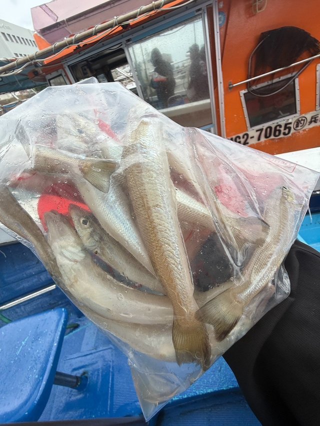 釣果