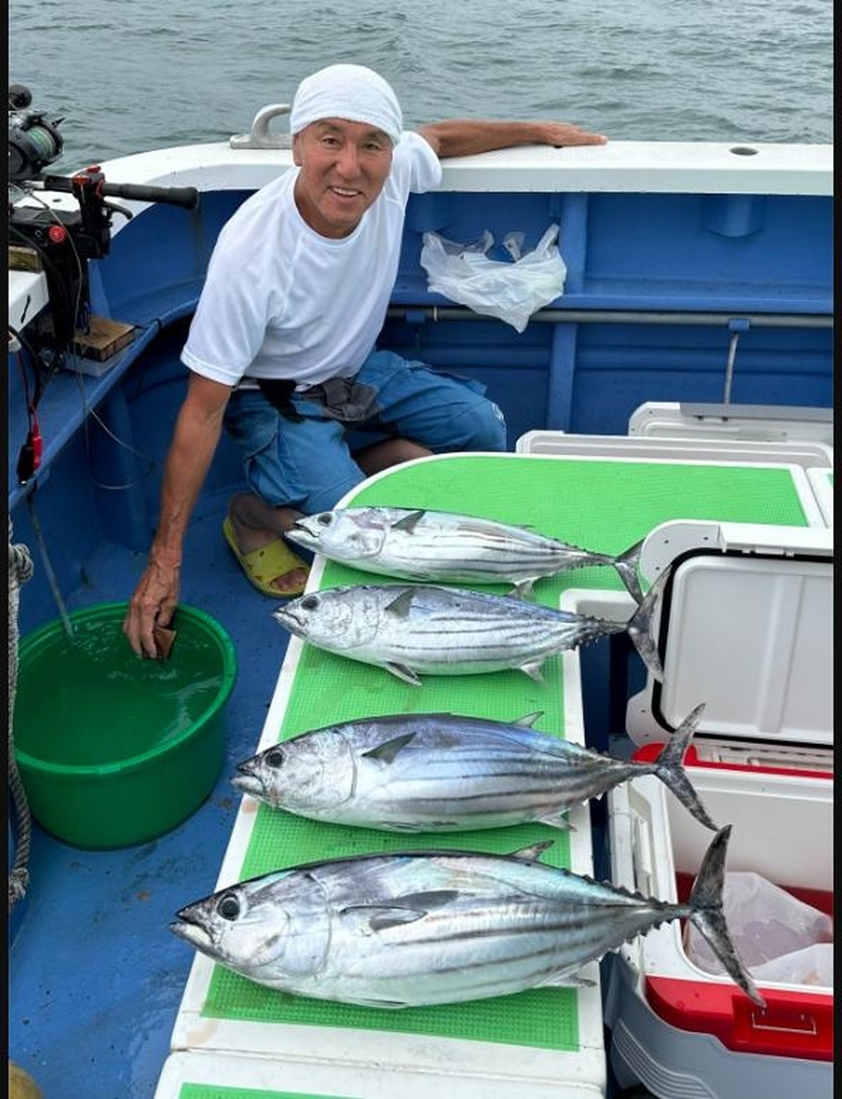 カツオ4本の釣果写真(神奈川県三浦市・大松丸)