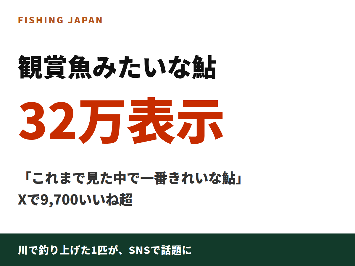 鮎バズ32万表示カード