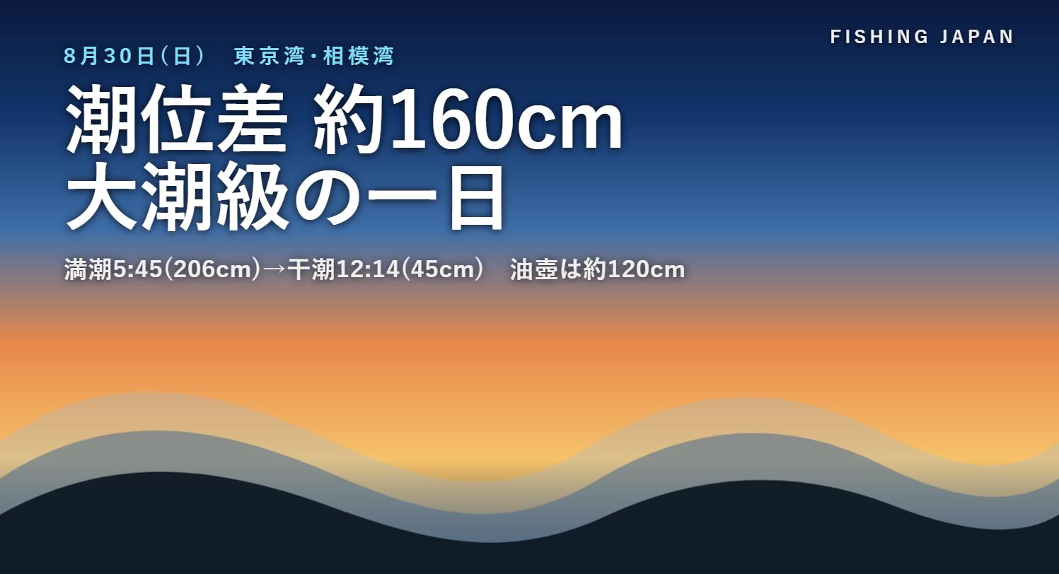 東京湾・相模湾の潮汐イメージ(2026年8月30日)