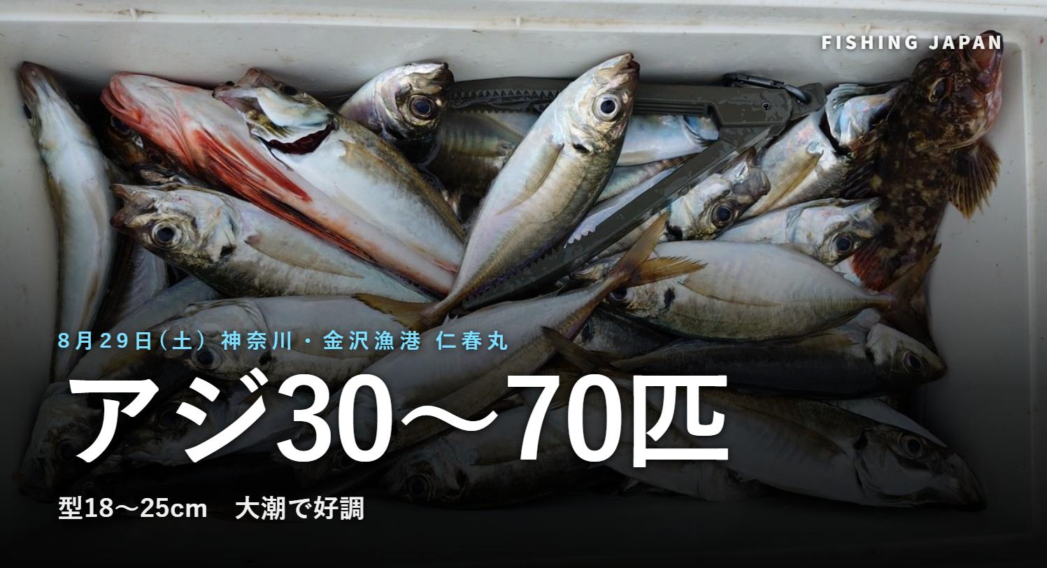 仁春丸のアジ釣果(神奈川県横浜市・金沢漁港)